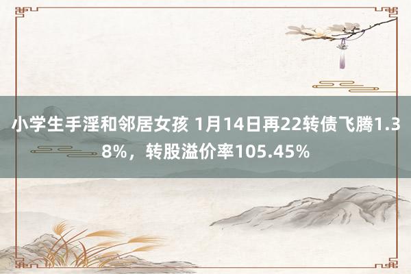 小学生手淫和邻居女孩 1月14日再22转债飞腾1.38%，转股溢价率105.45%