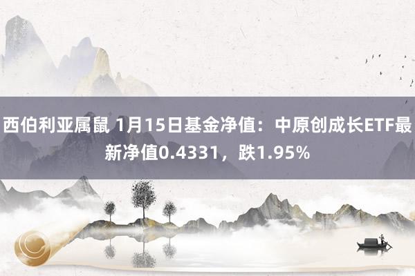 西伯利亚属鼠 1月15日基金净值：中原创成长ETF最新净值0.4331，跌1.95%