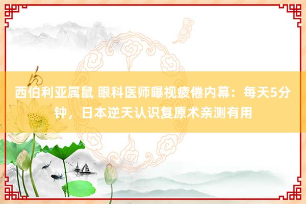西伯利亚属鼠 眼科医师曝视疲倦内幕：每天5分钟，日本逆天认识复原术亲测有用